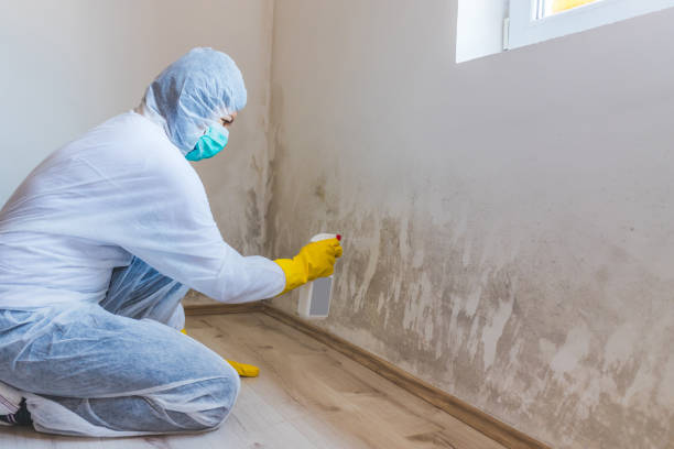 Licensed Bathroom Mold Removal service in Saxton, PA - WQB Mold Removal