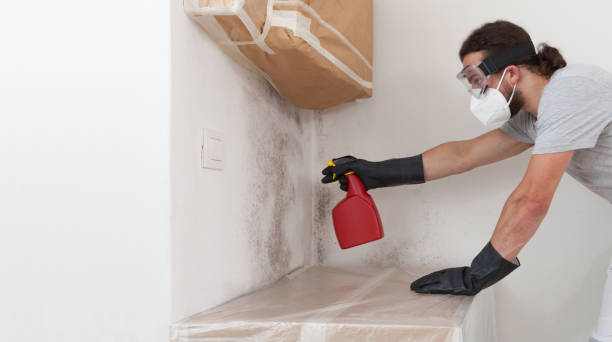 Professional Bathroom Mold Removal technician working in Saxton, PA
